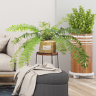 70cm Artificial Fern Tree Indoor Decor Living Room Evergreen Tropical Plant Custom Height
