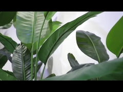 Video bagian berputar