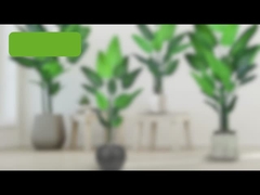 Pohon Sawit Perjalanan Palsu (burung dari pohon sawit surga) - 180cm / 200cm Realistis PE Daun Artifisial Pl