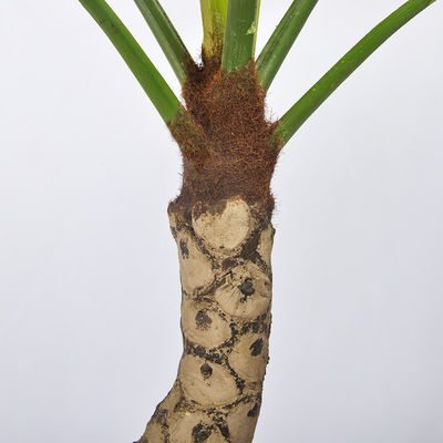 170cm Artificial Landscape Trees L Shape Split Philo Garden Decoration No Watering