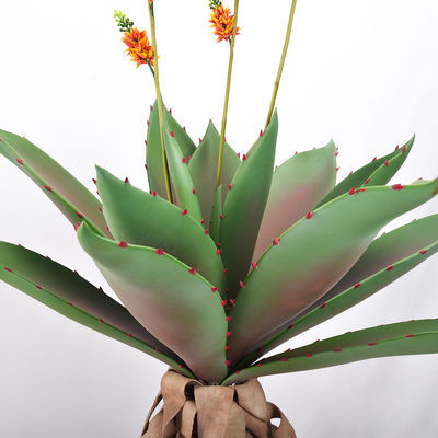 Thick Leaves Artificial Potted Flower Aloe Indoor Decor Realistic Appearance Plant