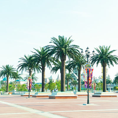 Artificial Date Palm Tree outdoor fake palm tree 10-20ft real touch leaves classic design