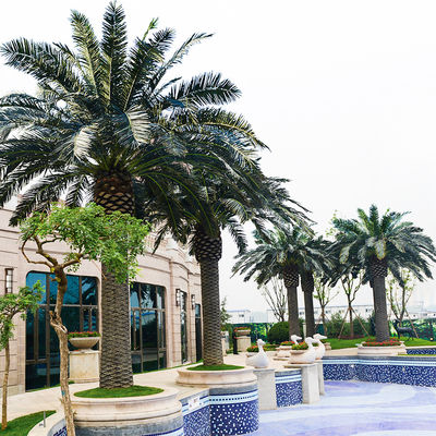 Artificial Date Palm Tree outdoor fake palm tree 10-20ft real touch leaves classic design