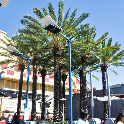 Artificial Date Palm Tree outdoor fake palm tree 10-20ft real touch leaves classic design