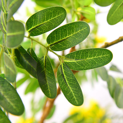 Artificial cassia flowering tree yellow home deco hotel office potted tree