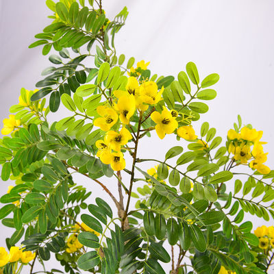 Artificial cassia flowering tree yellow home deco hotel office potted tree
