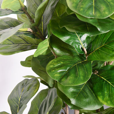 Artificial Ficus Microcarpa  6 Ft Indoor Pot Faux Fiddle Leaf Fig Tree For Indoor Living Room Decoa