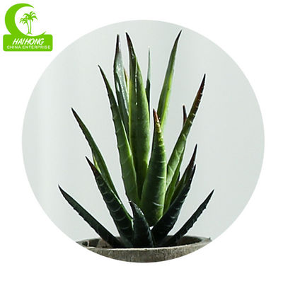 16.5cm Mini Artificial Succulents