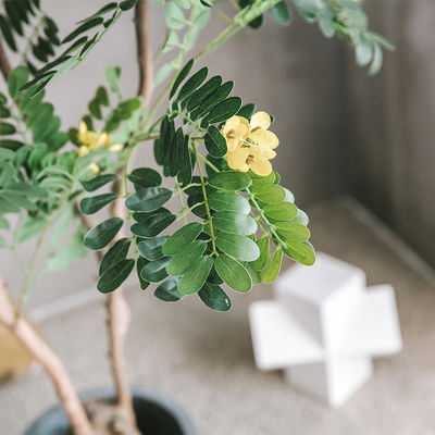 Yellow Cassia Flowering Artificial Foliage Tree Hotel Decoration